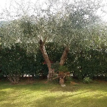 Il Nido Di Gio'